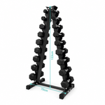 Vertical dumbbell rack with protective cradles and 1–10kg hex dumbbell pairs