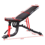 Detailed seat and backrest dimensions for ergonomic workout bench