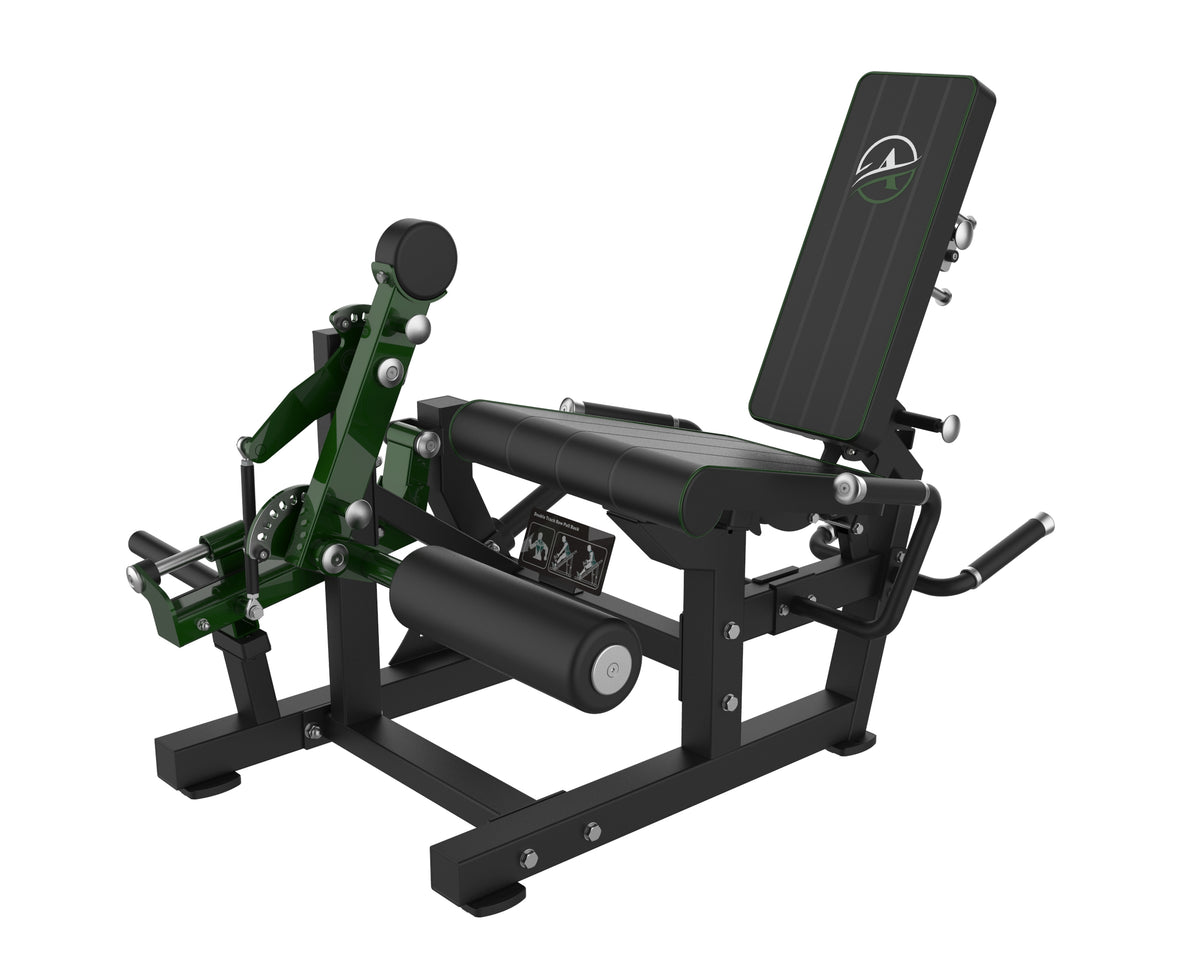 Commercial Leg extension and leg curl