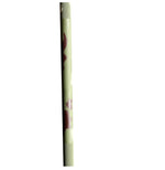 Compact 150cm Olympic Barbell – Camo - 24/7 Gym Equipment
